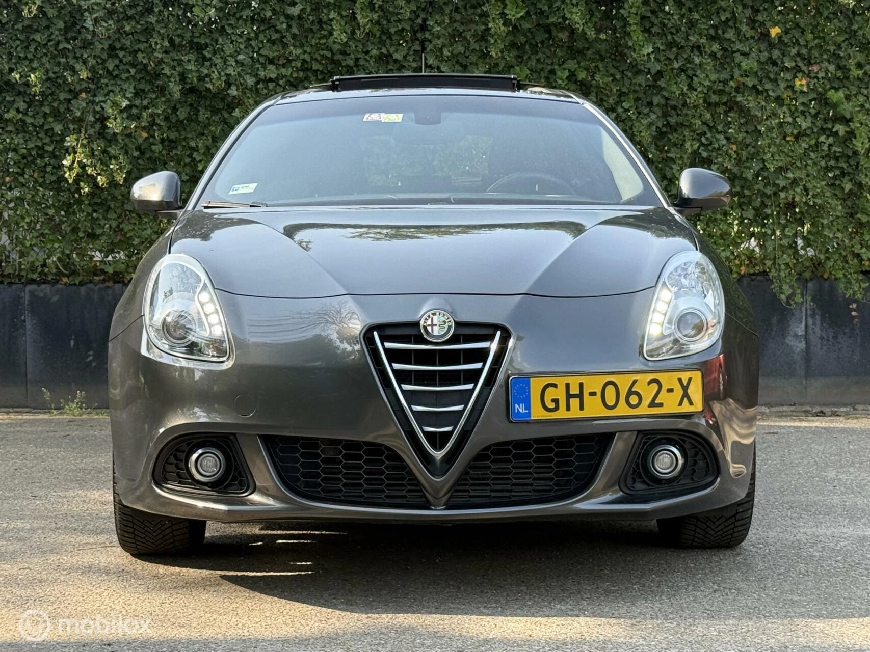 Hoofdafbeelding Alfa Romeo Giulietta