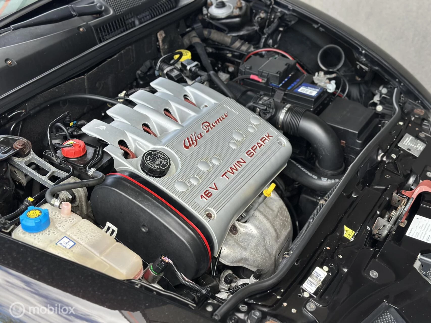 Hoofdafbeelding Alfa Romeo GT
