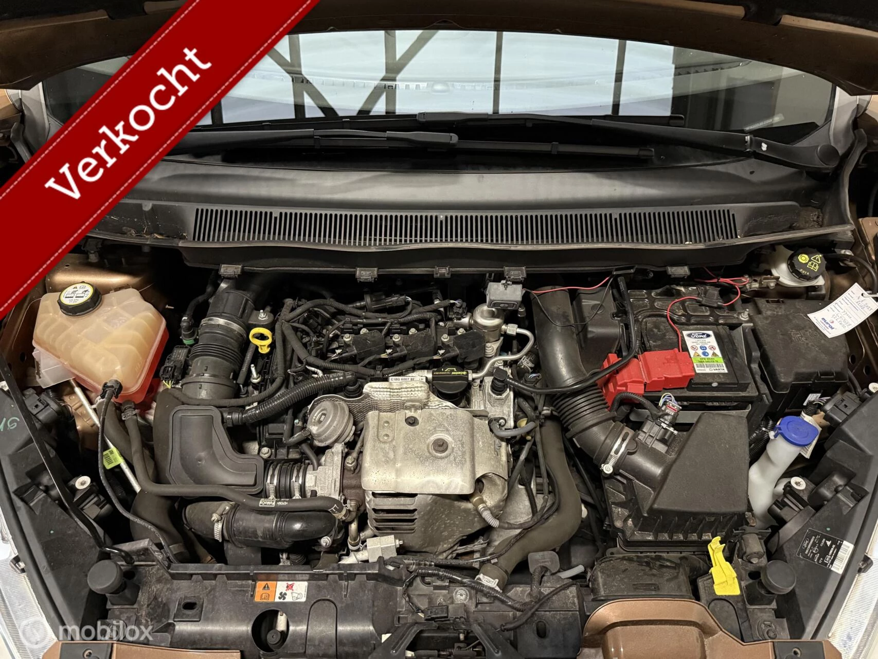 Hoofdafbeelding Ford B-MAX
