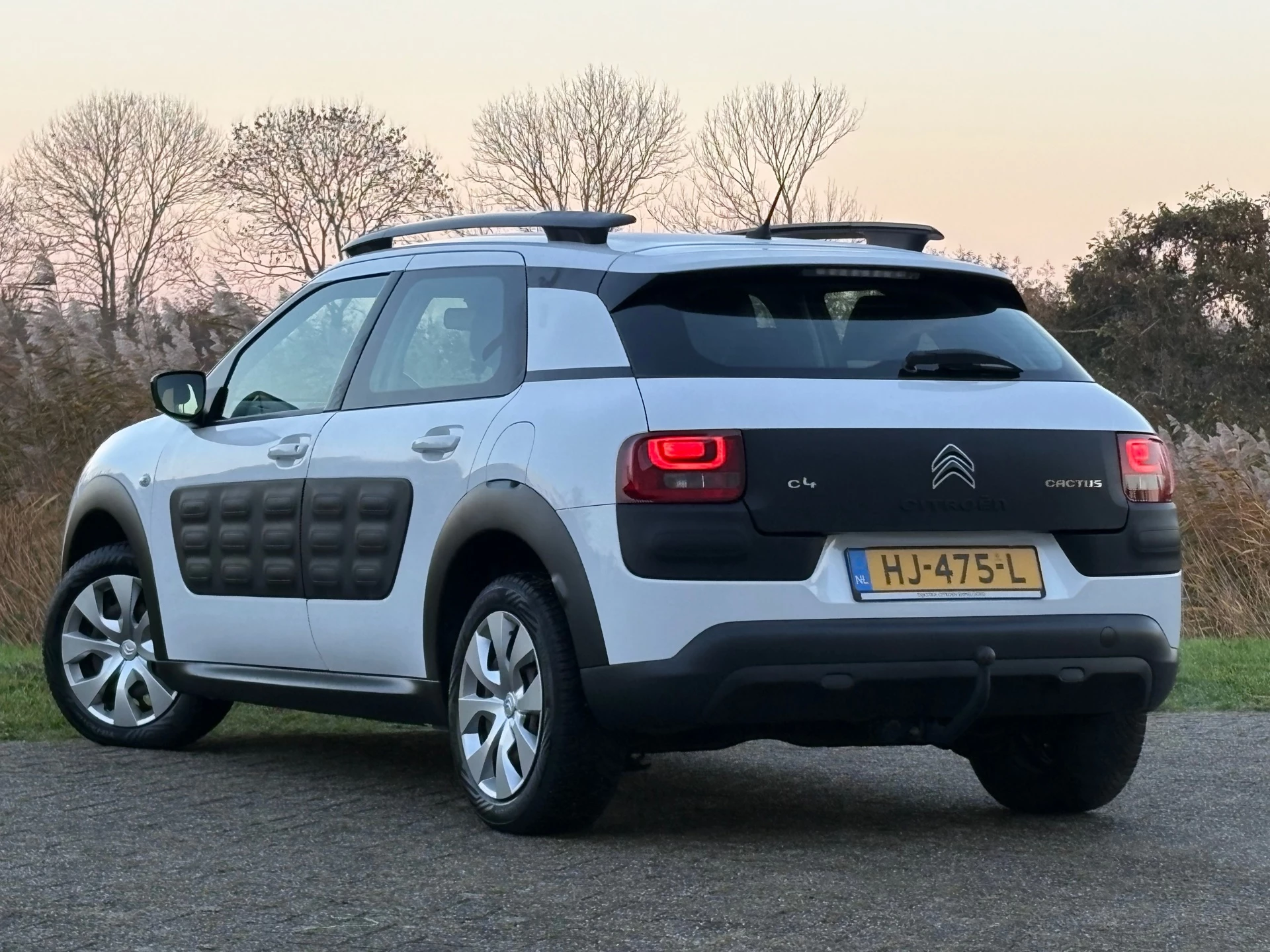 Hoofdafbeelding Citroën C4 Cactus
