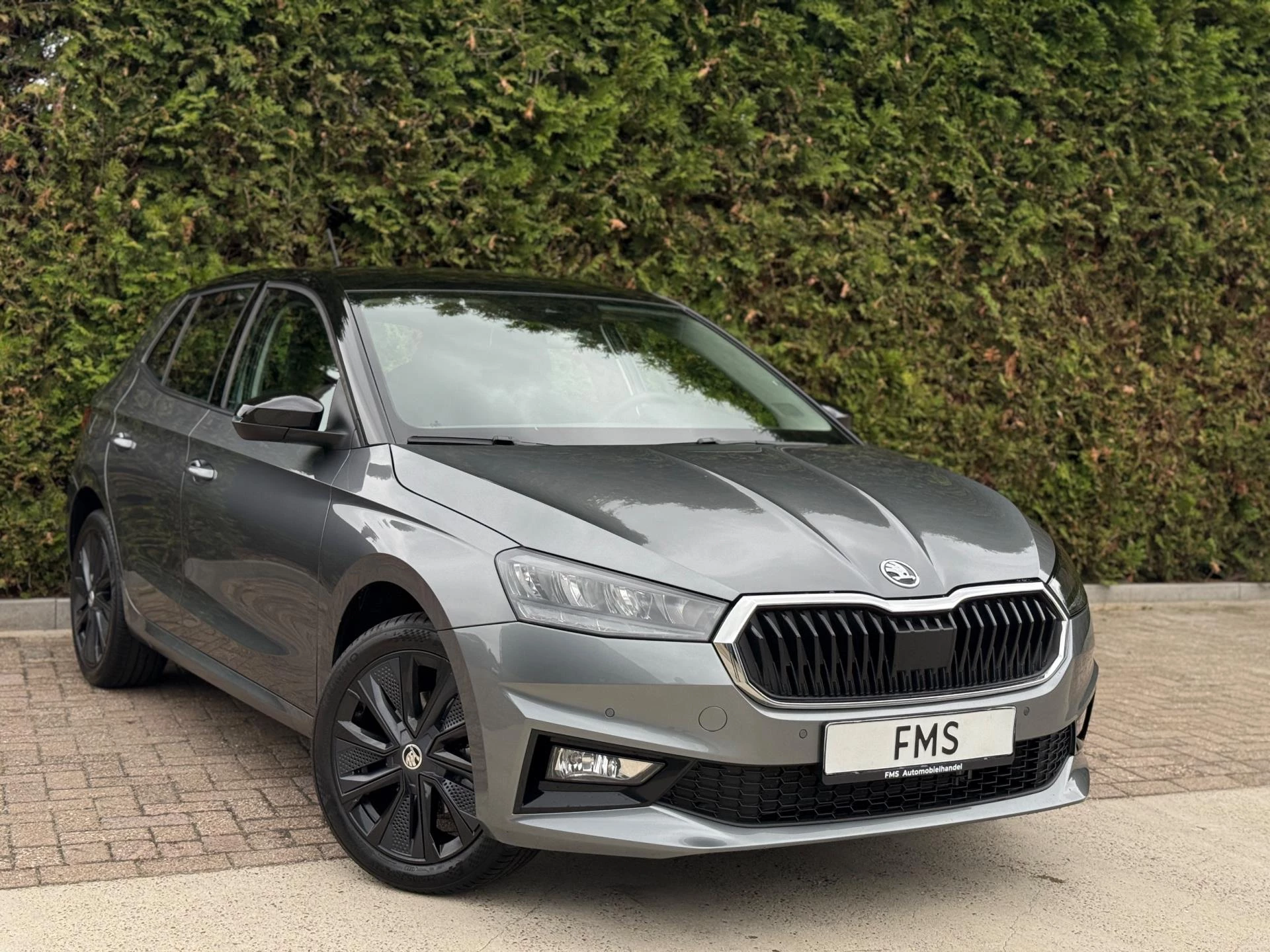 Hoofdafbeelding Škoda Fabia