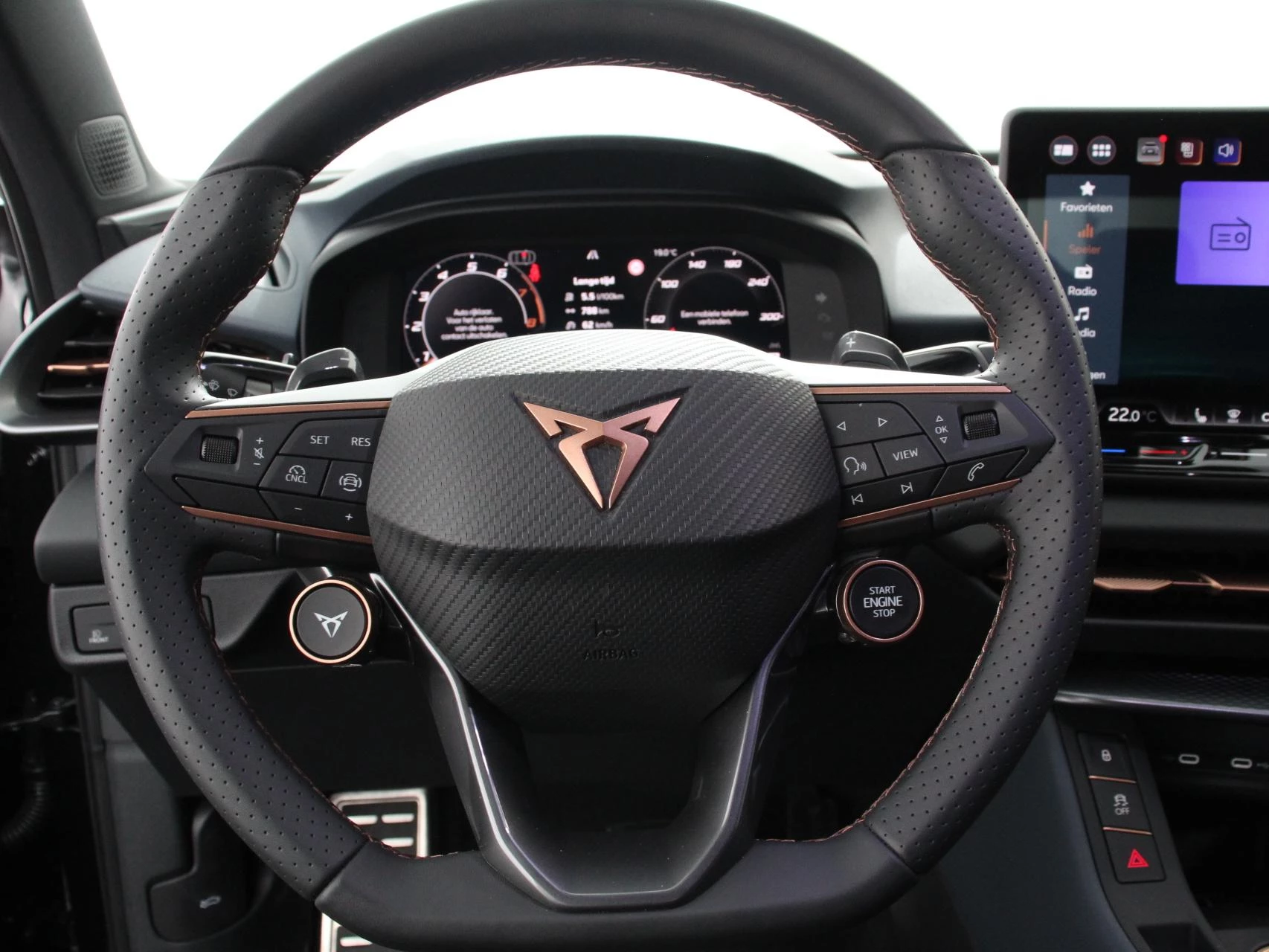 Hoofdafbeelding CUPRA Terramar
