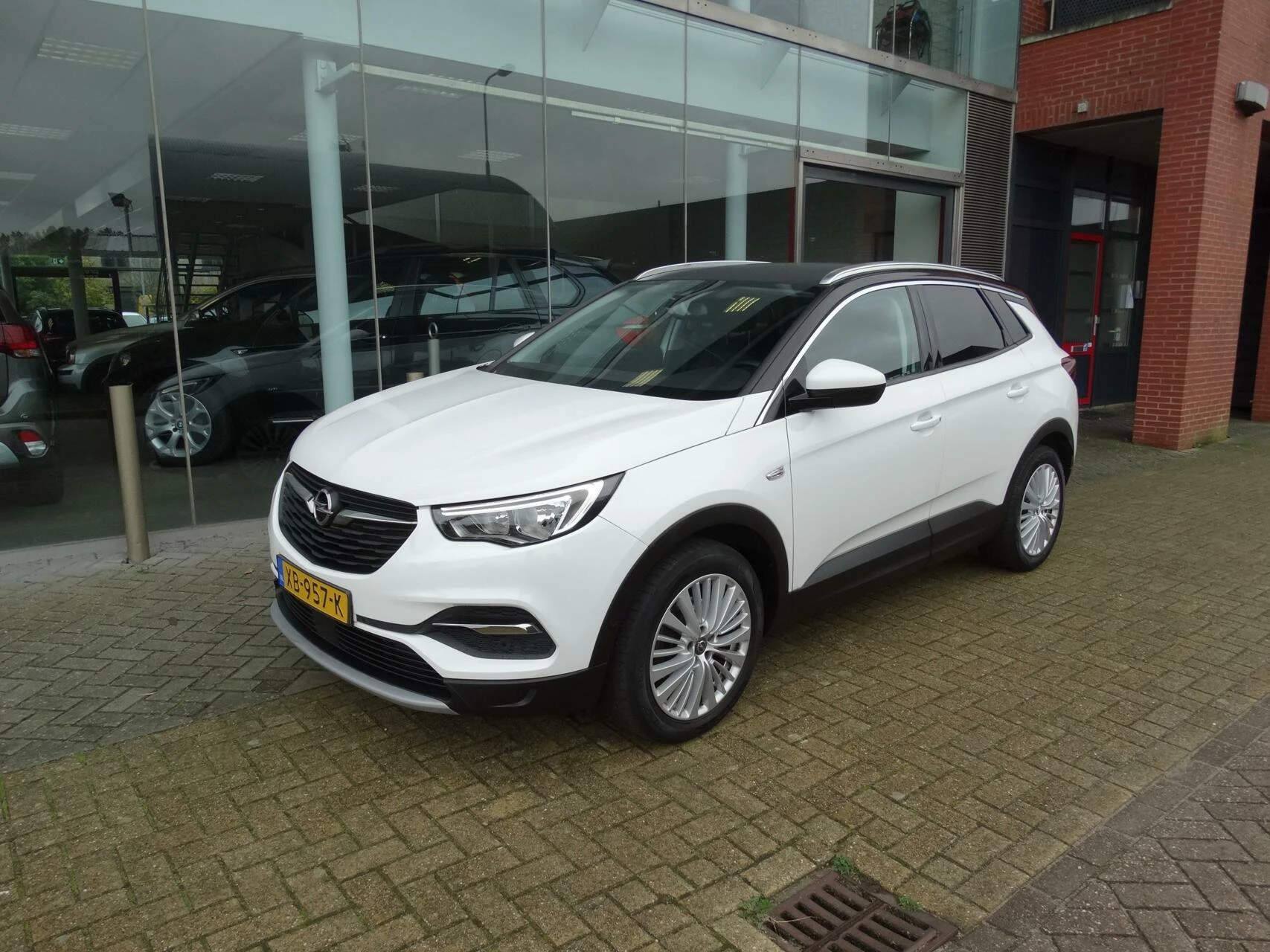 Hoofdafbeelding Opel Grandland X