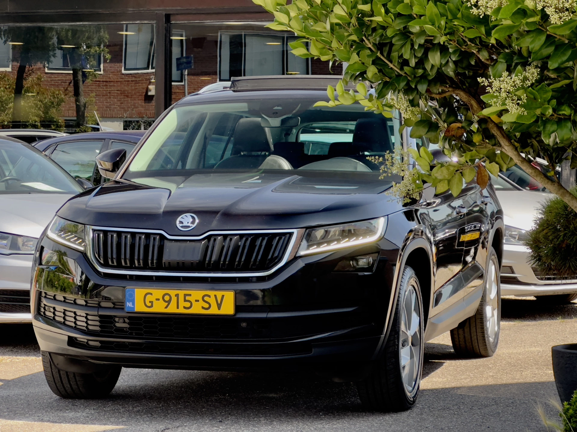 Hoofdafbeelding Škoda Kodiaq