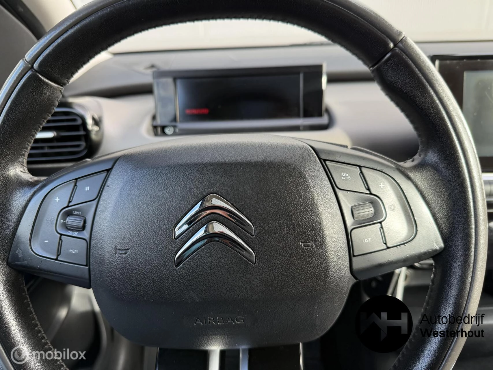 Hoofdafbeelding Citroën C4 Cactus