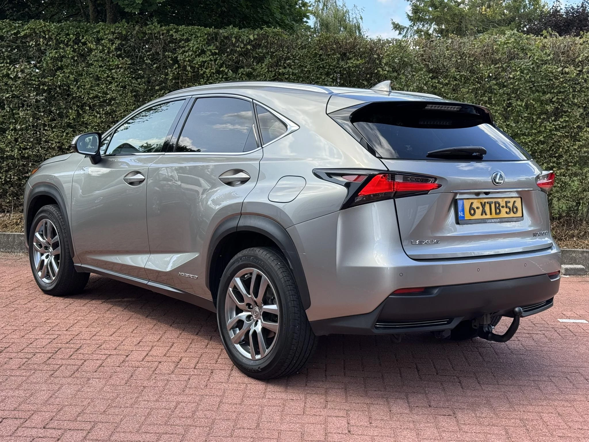Hoofdafbeelding Lexus NX
