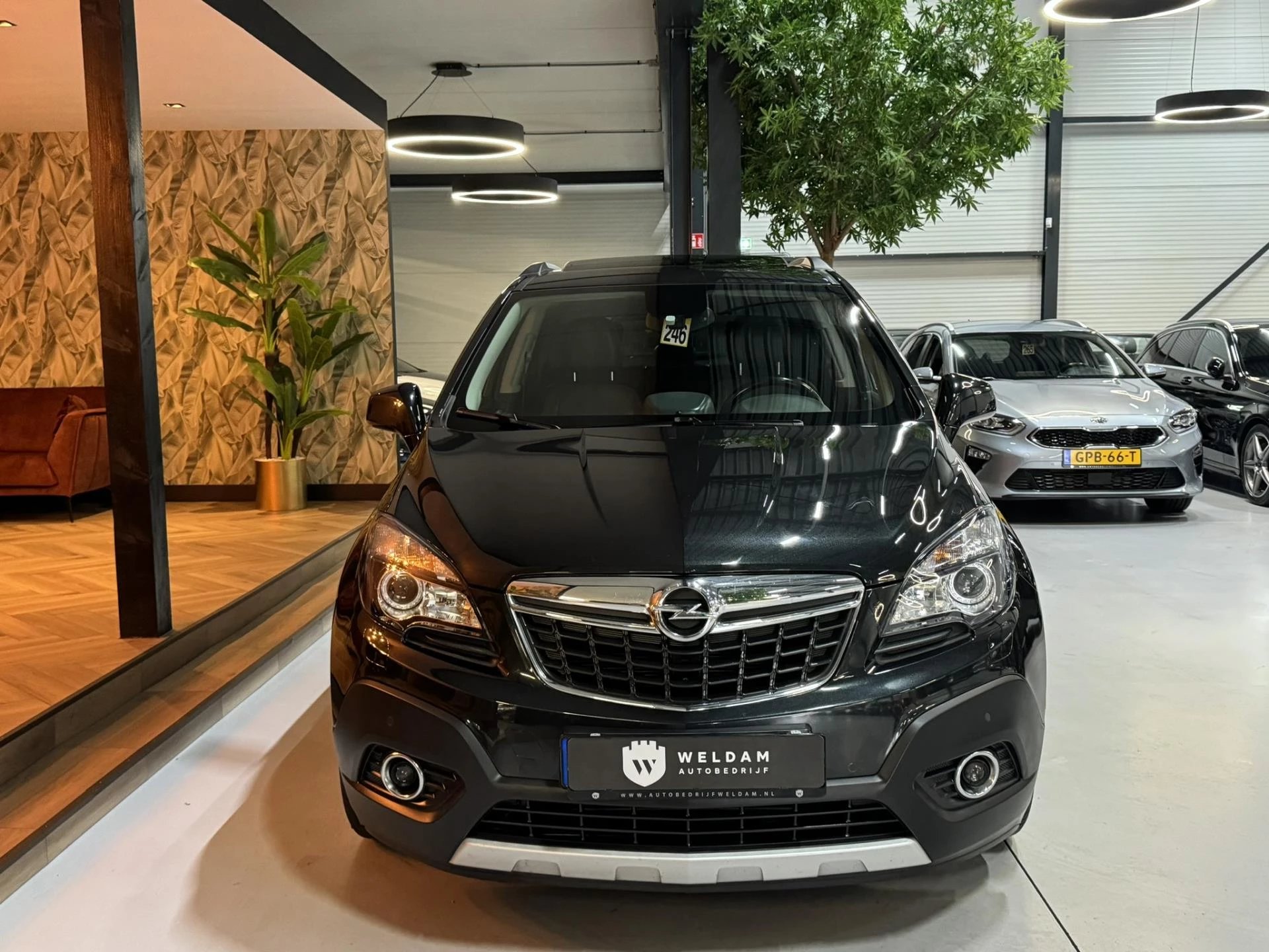 Hoofdafbeelding Opel Mokka