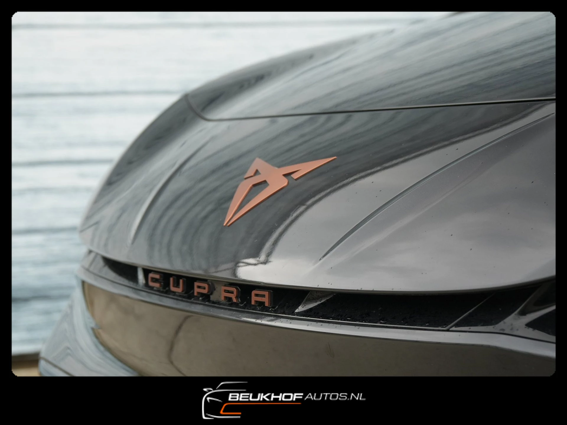 Hoofdafbeelding CUPRA Born