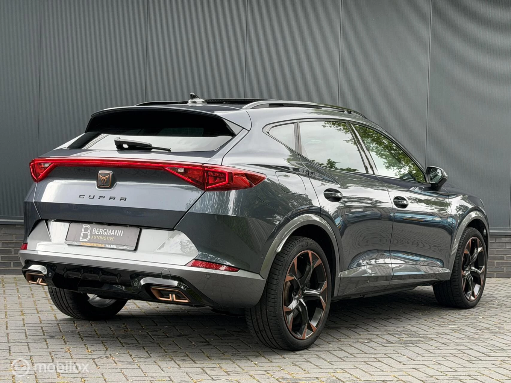 Hoofdafbeelding CUPRA Formentor