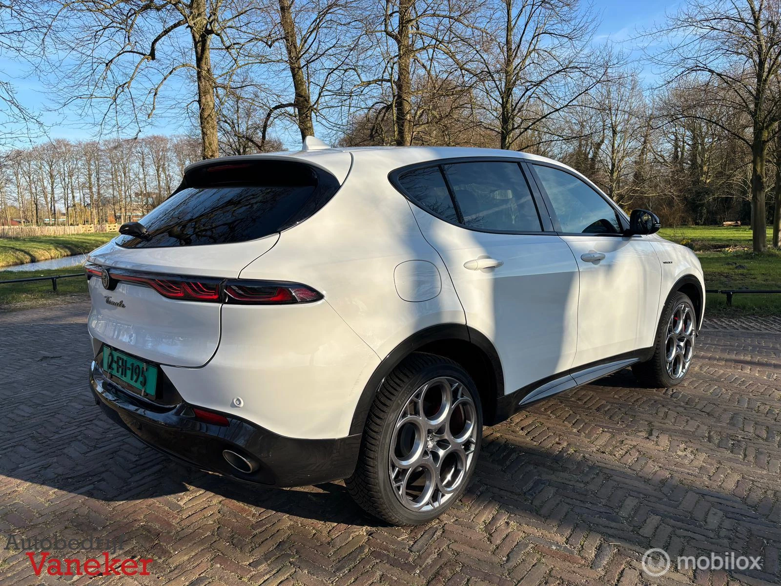 Hoofdafbeelding Alfa Romeo Tonale