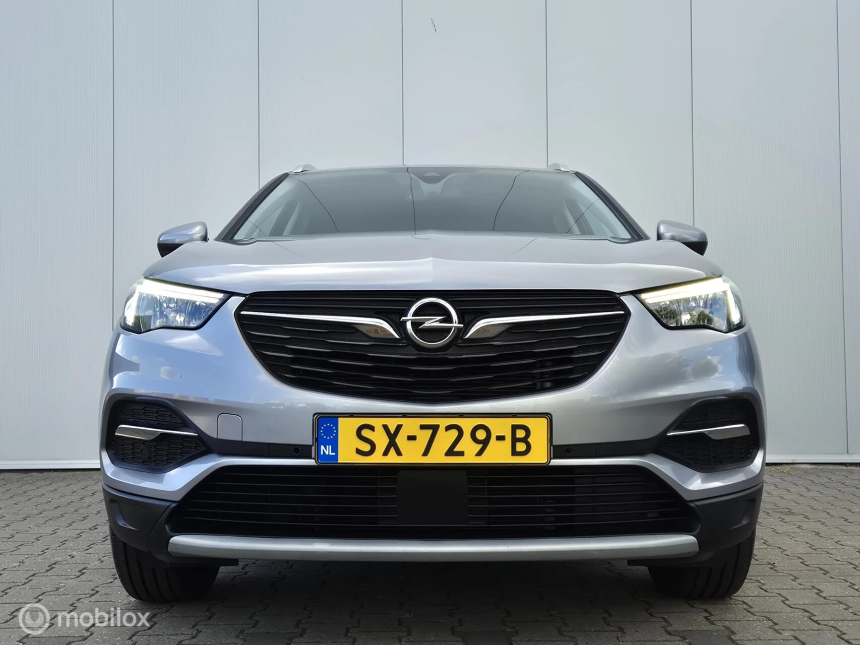 Hoofdafbeelding Opel Grandland X