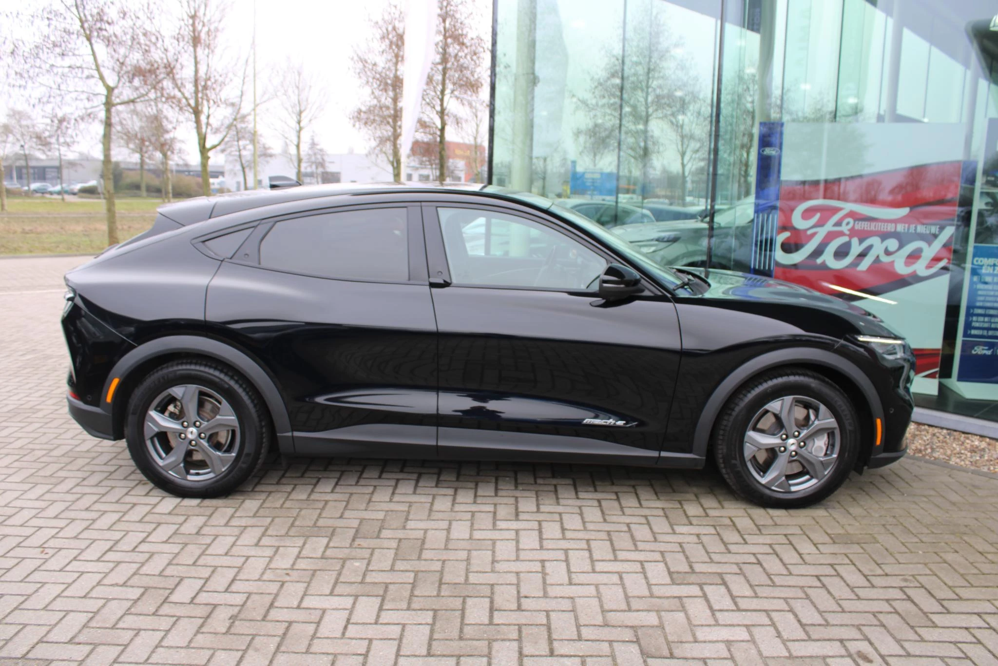 Hoofdafbeelding Ford Mustang Mach-E