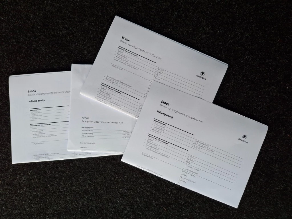 Hoofdafbeelding Škoda Fabia