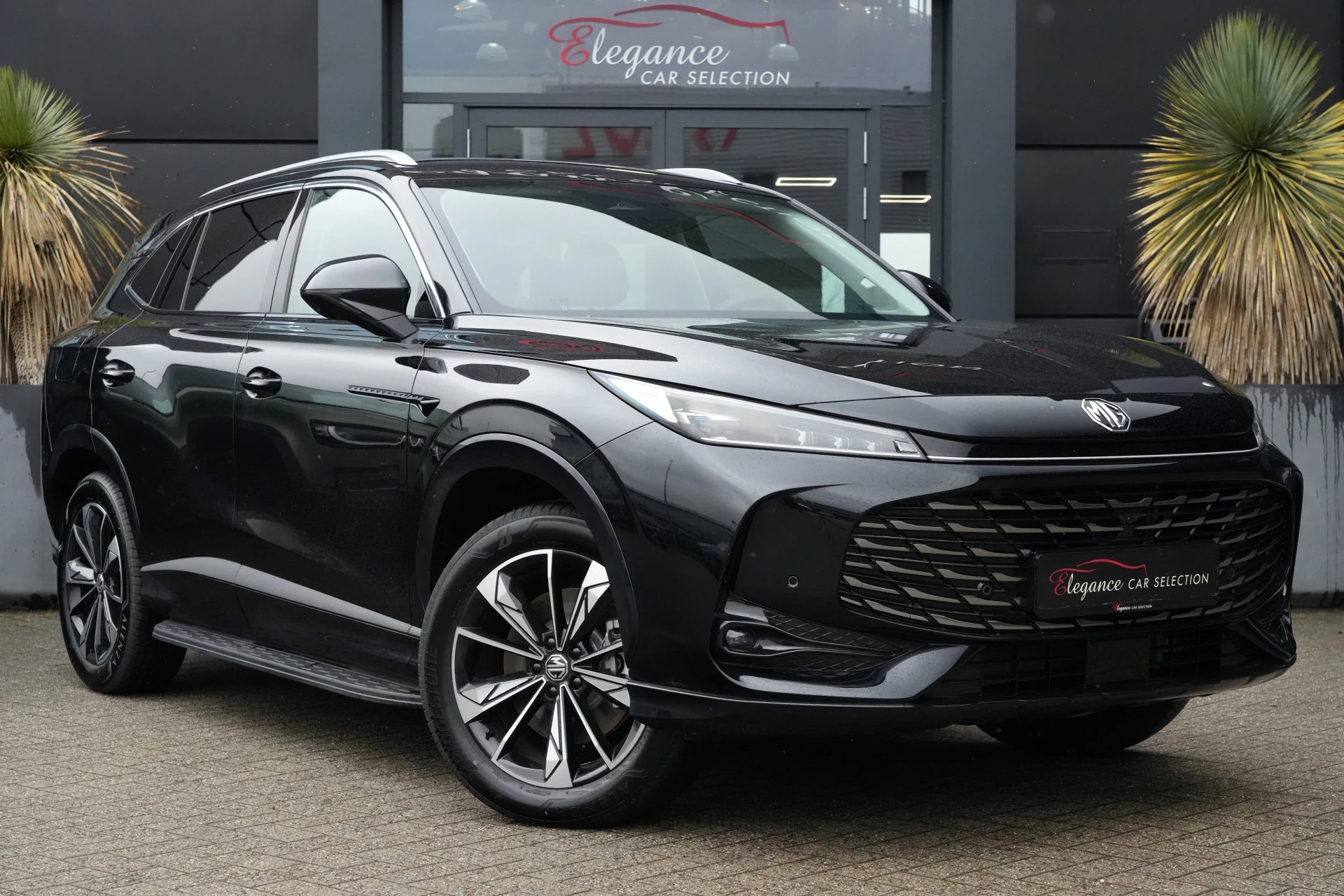 Hoofdafbeelding MG HS