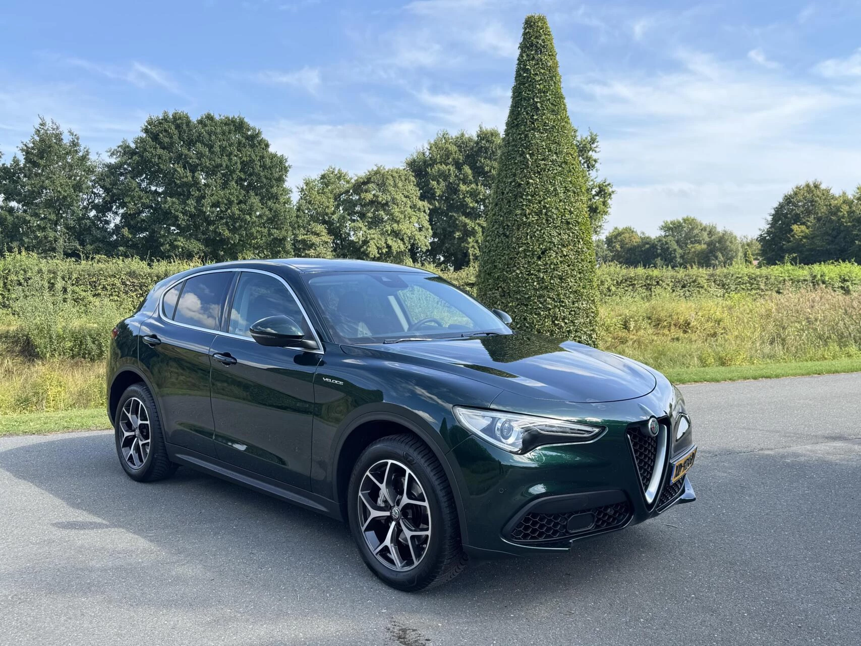 Hoofdafbeelding Alfa Romeo Stelvio