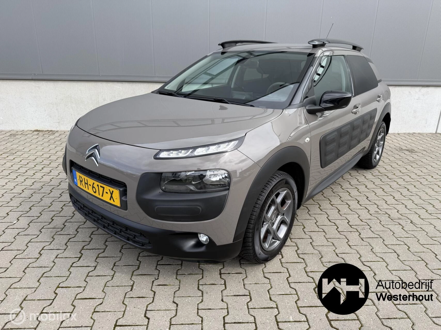 Hoofdafbeelding Citroën C4 Cactus