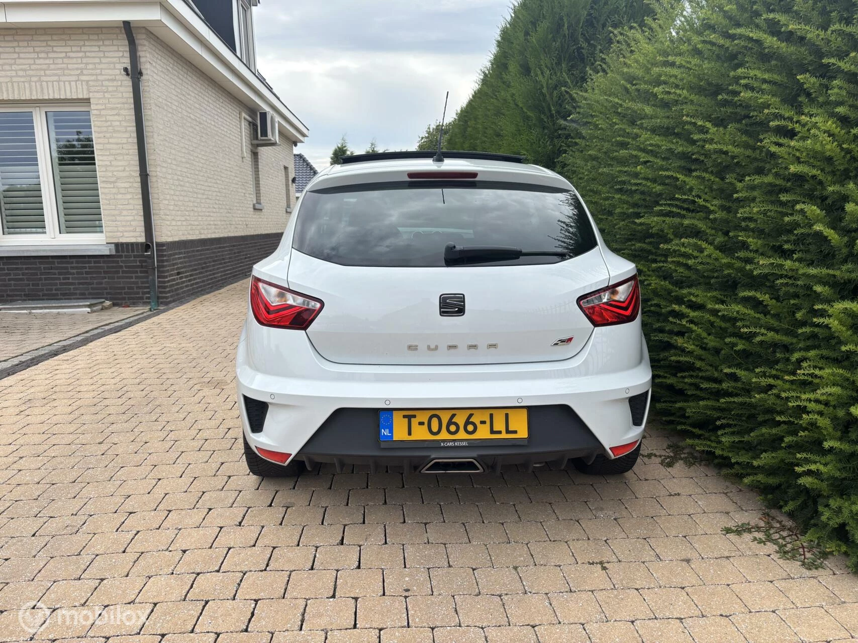 Hoofdafbeelding SEAT Ibiza