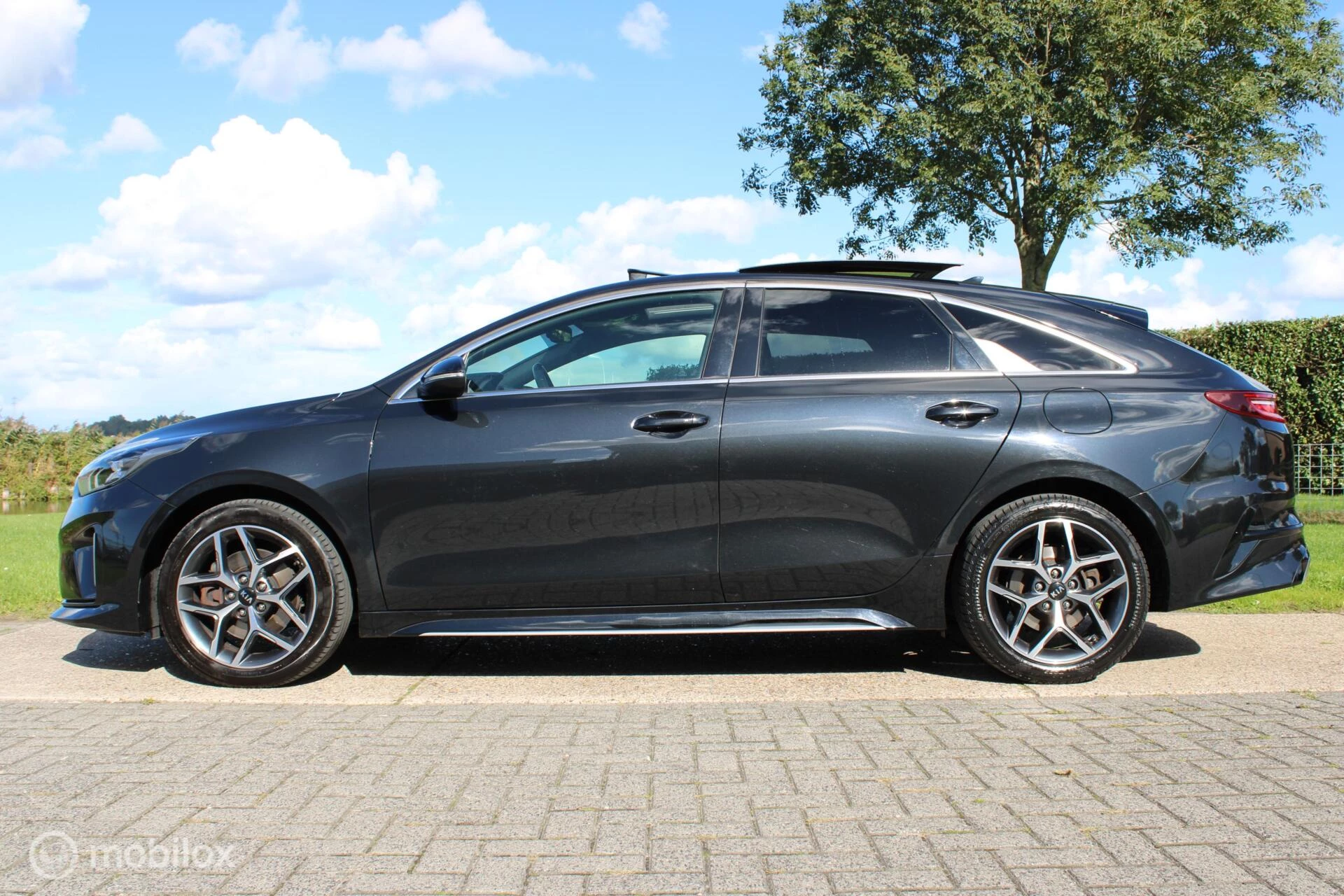 Hoofdafbeelding Kia ProCeed