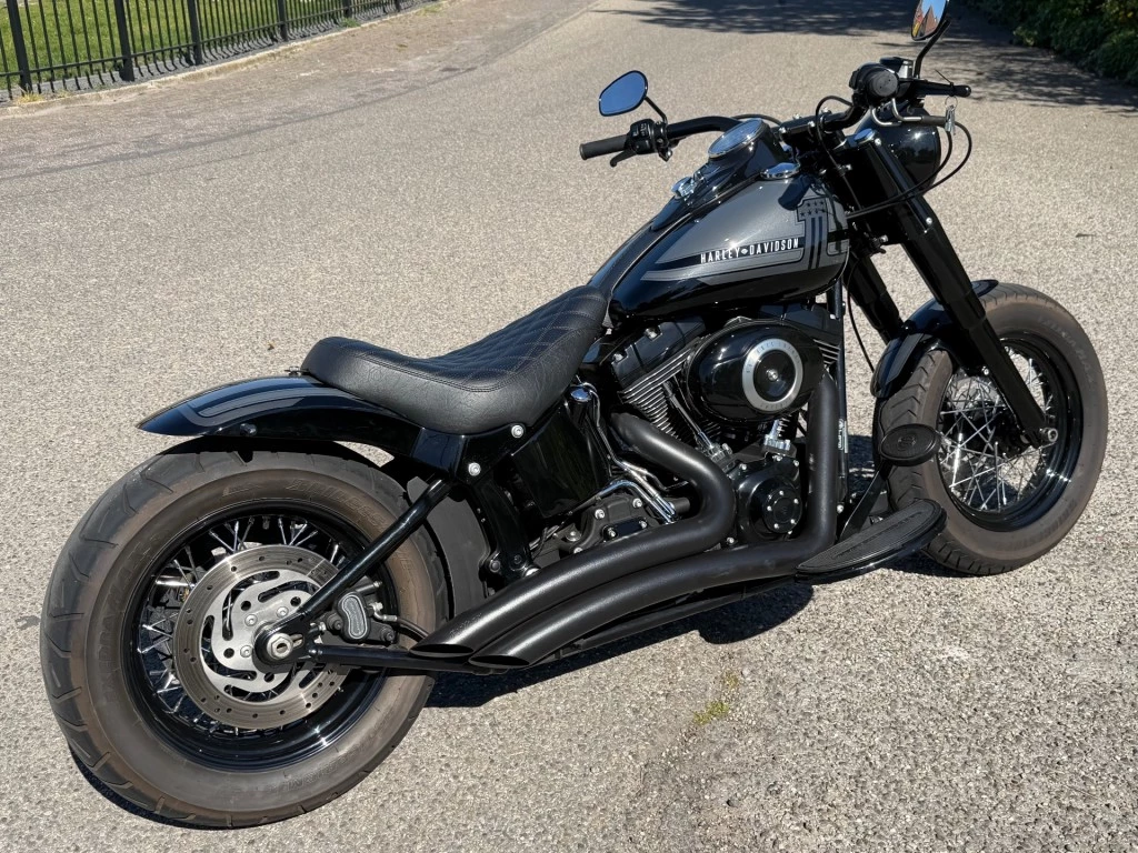 Hoofdafbeelding Harley-Davidson Softail