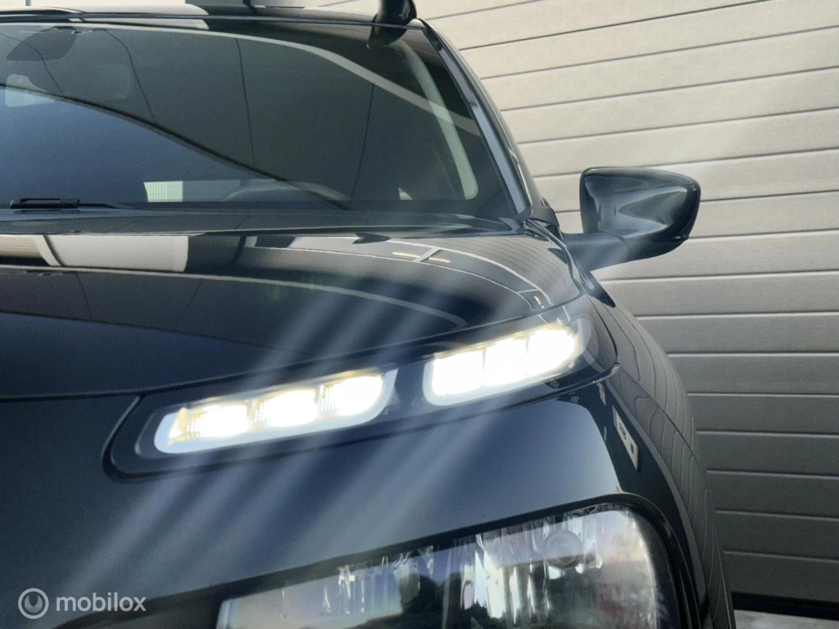 Hoofdafbeelding Citroën C4 Cactus