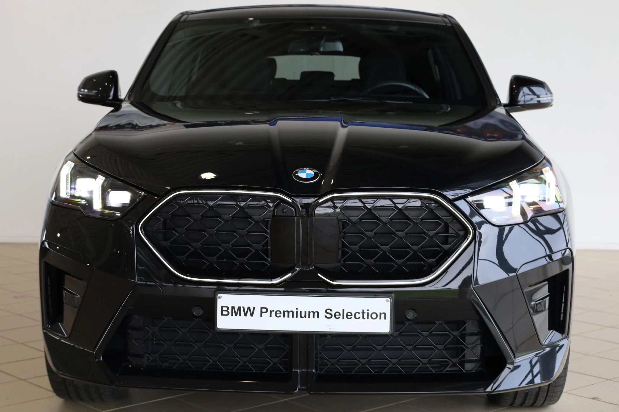 Hoofdafbeelding BMW X2