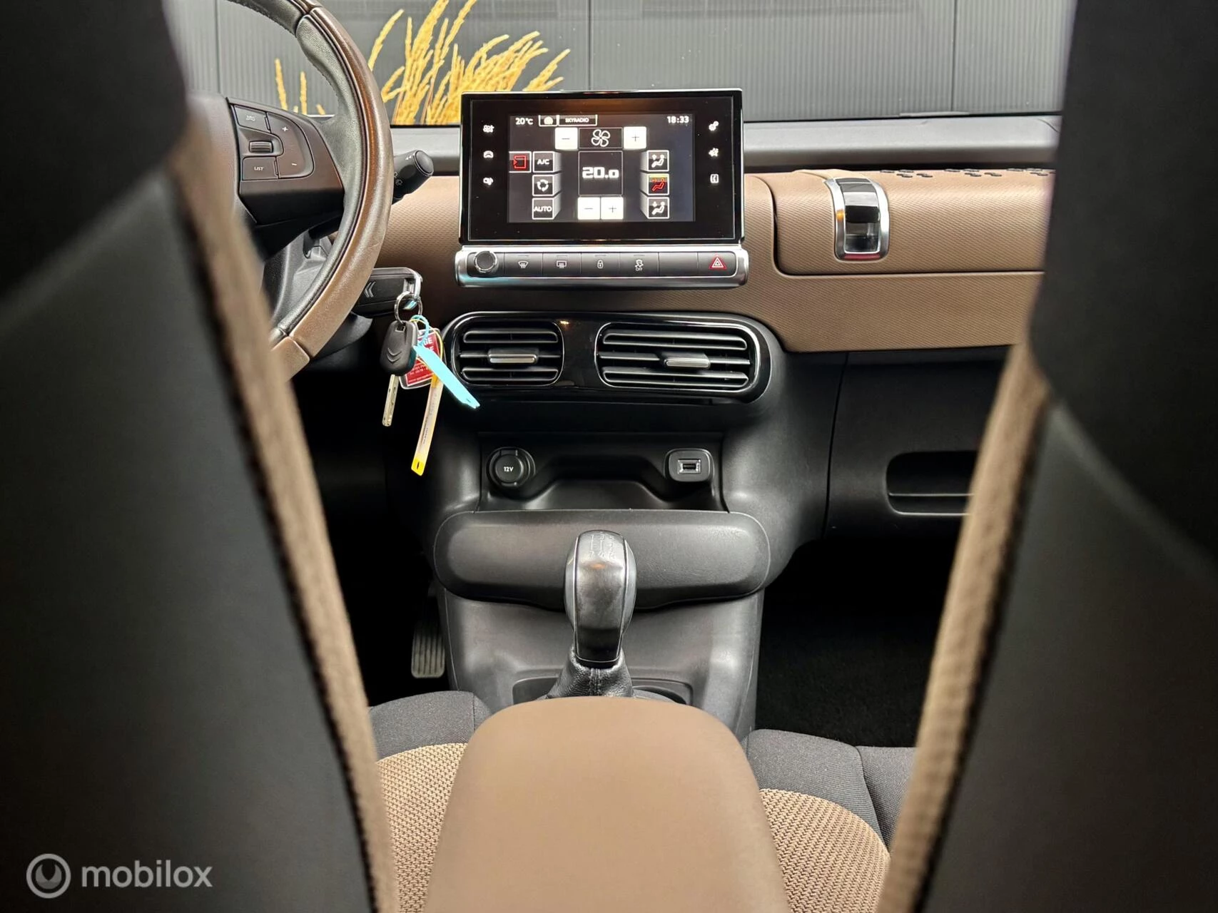 Hoofdafbeelding Citroën C4 Cactus