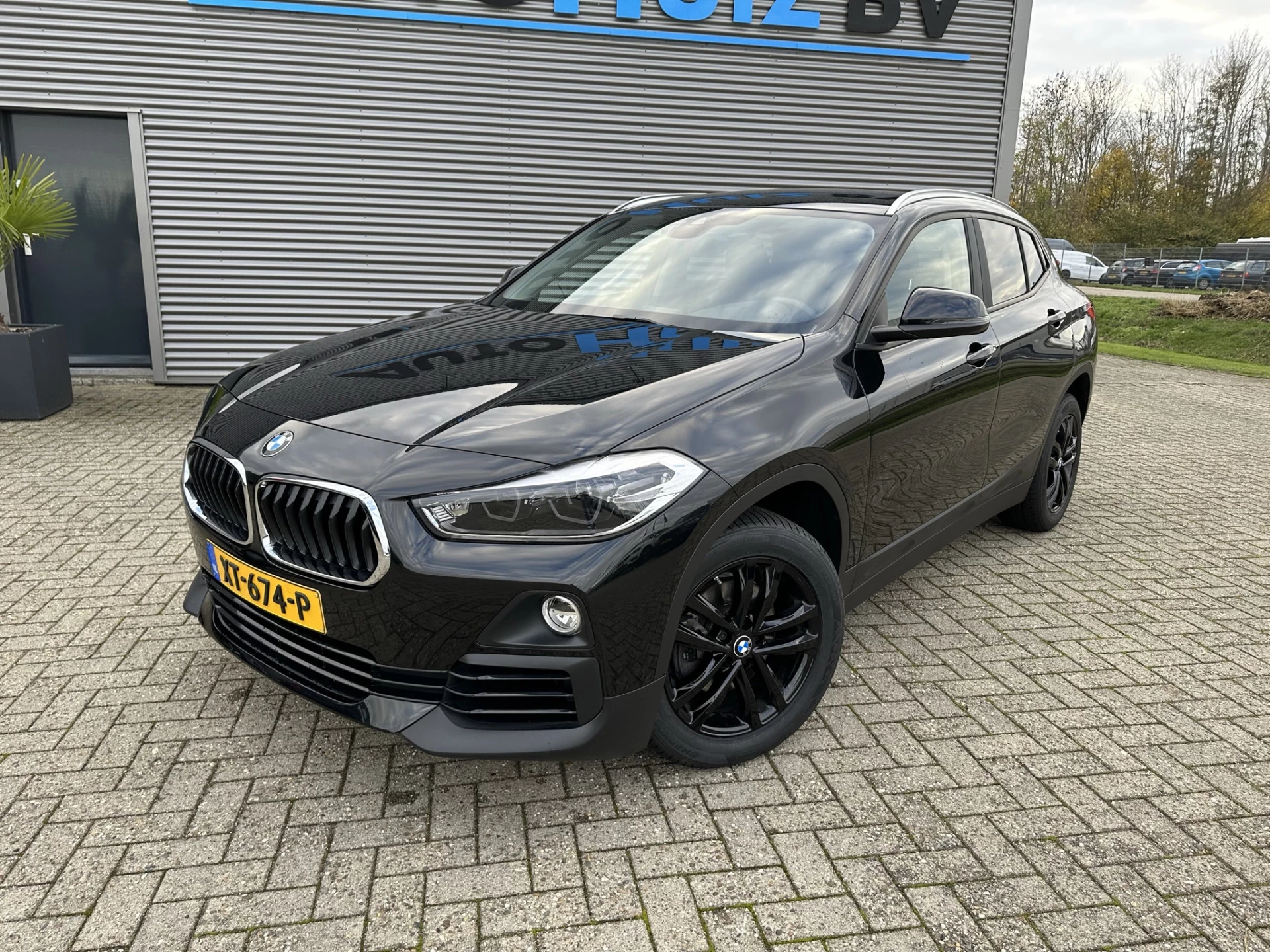 Hoofdafbeelding BMW X2