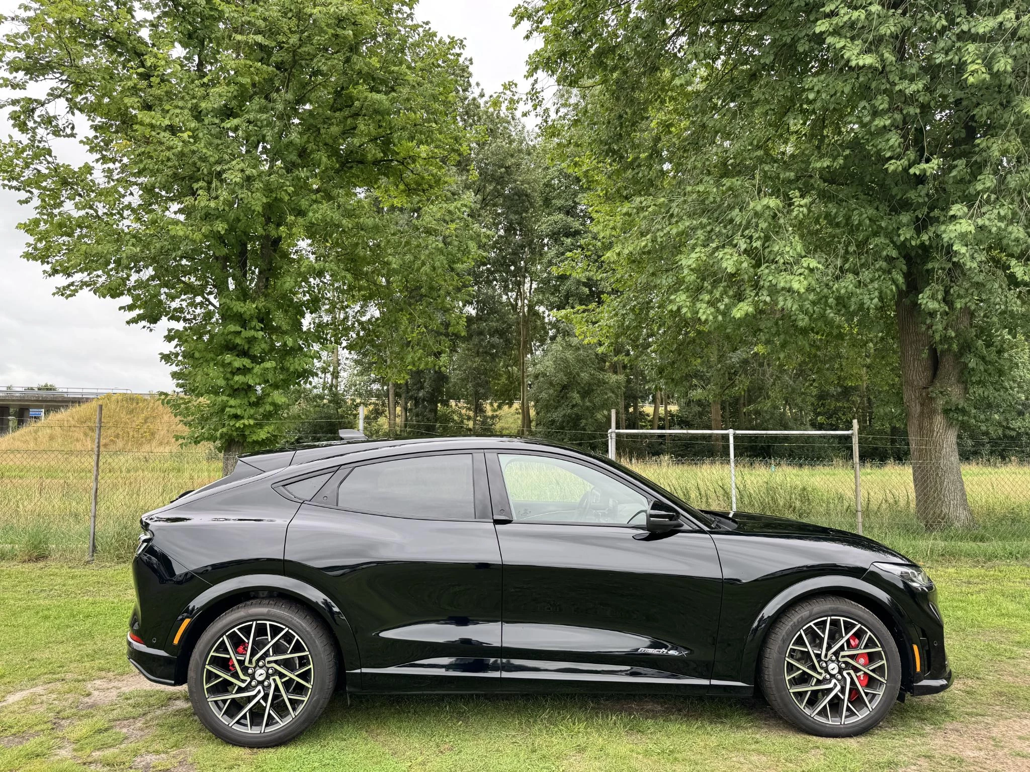 Hoofdafbeelding Ford Mustang Mach-E
