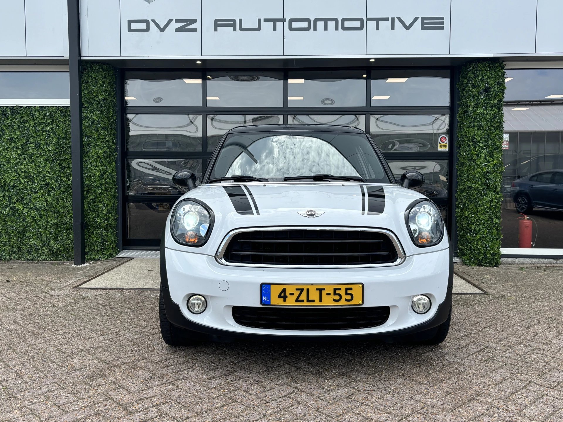 Hoofdafbeelding MINI Paceman