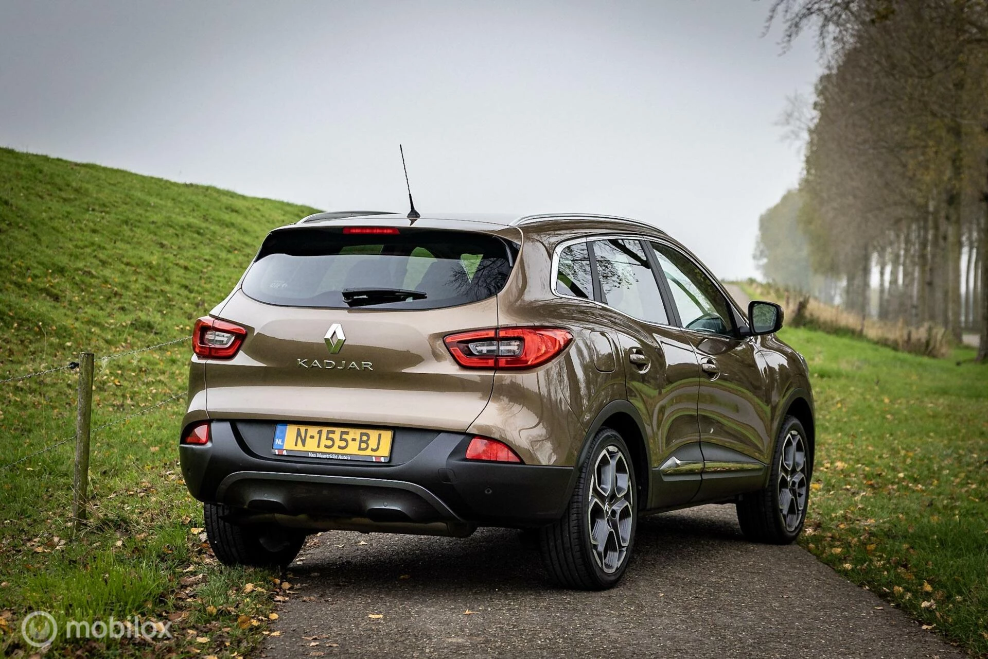 Hoofdafbeelding Renault Kadjar