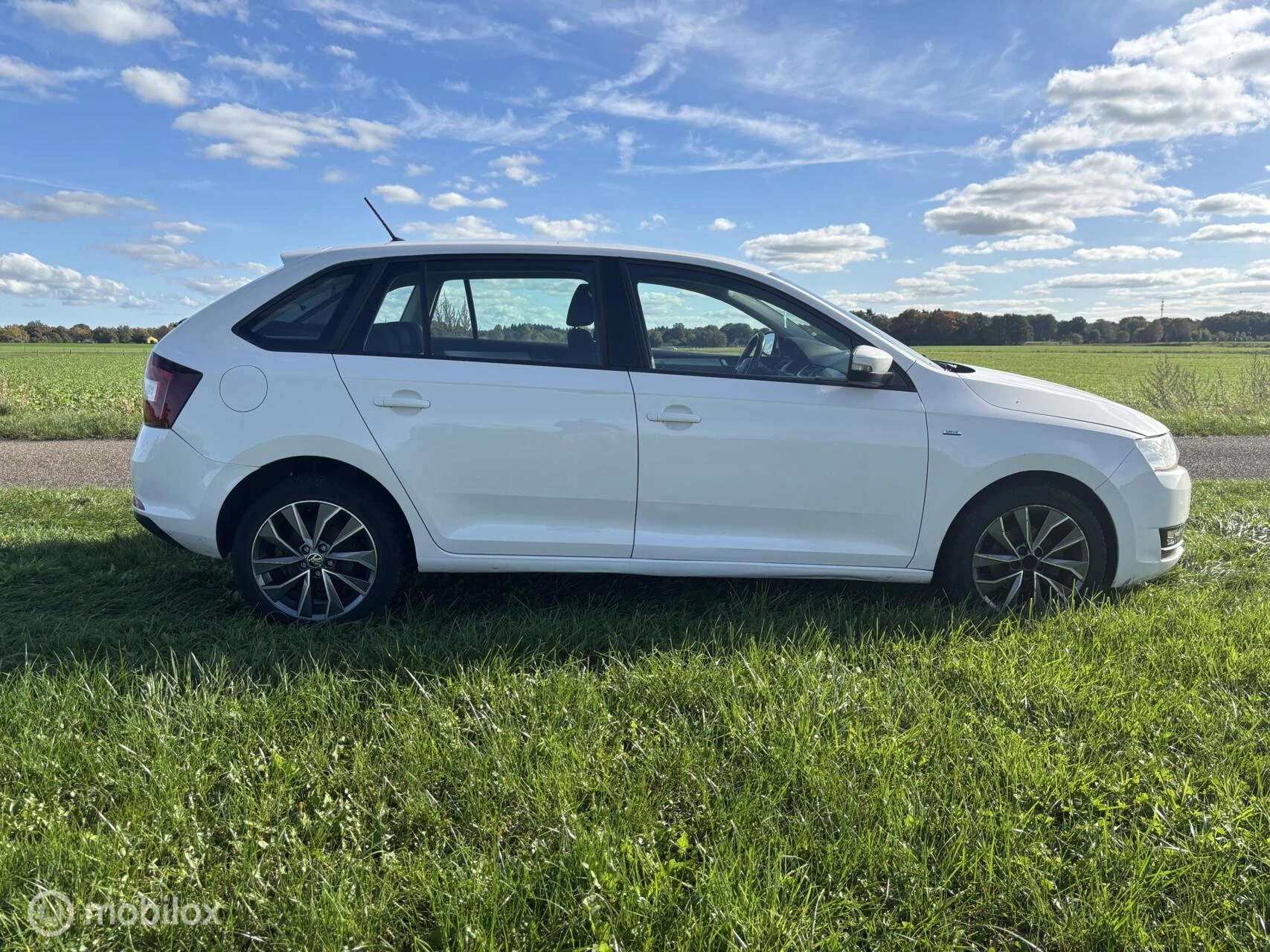 Hoofdafbeelding Škoda Rapid