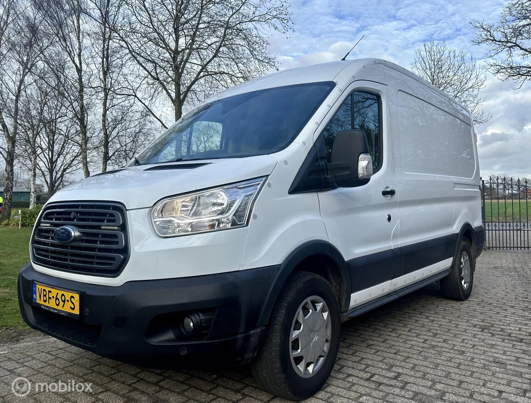 Hoofdafbeelding Ford Transit