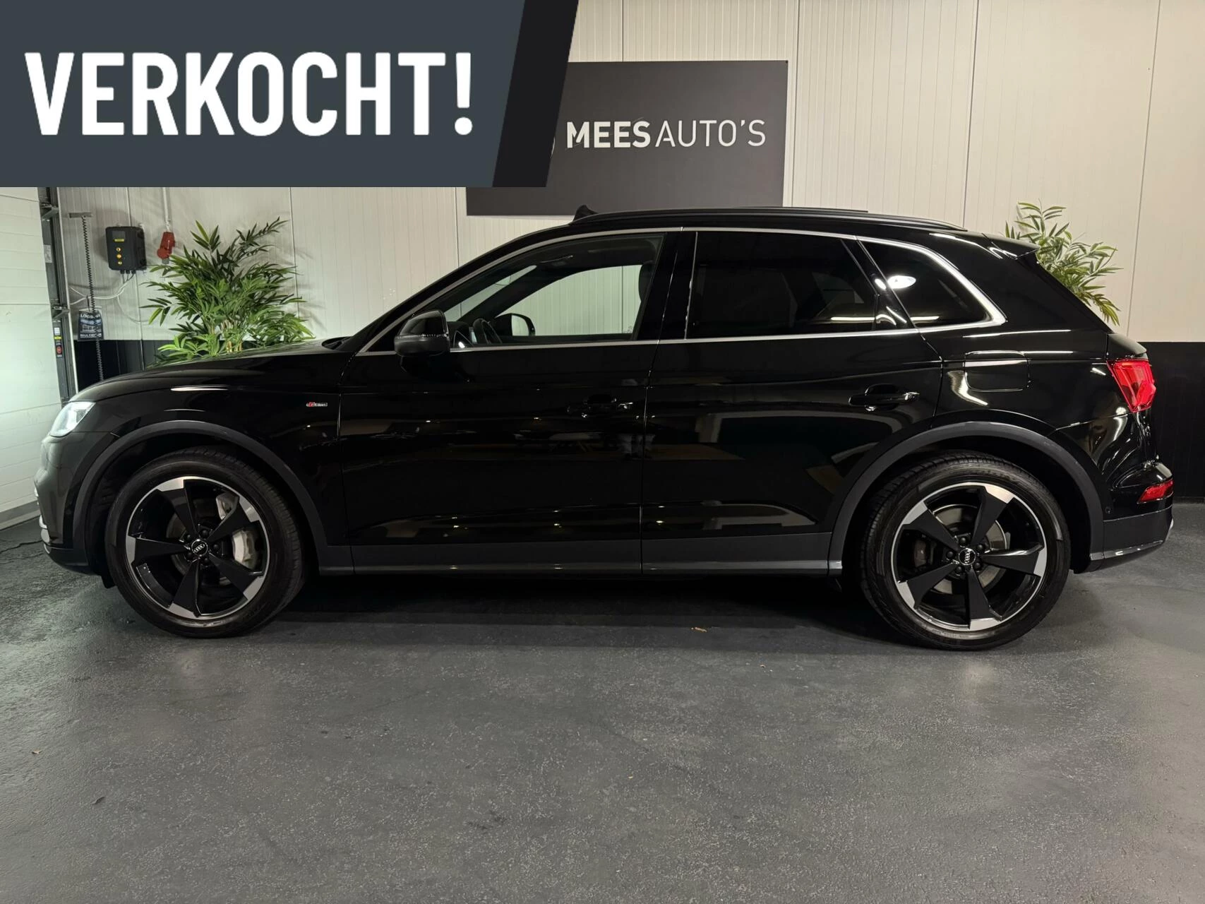 Hoofdafbeelding Audi Q5