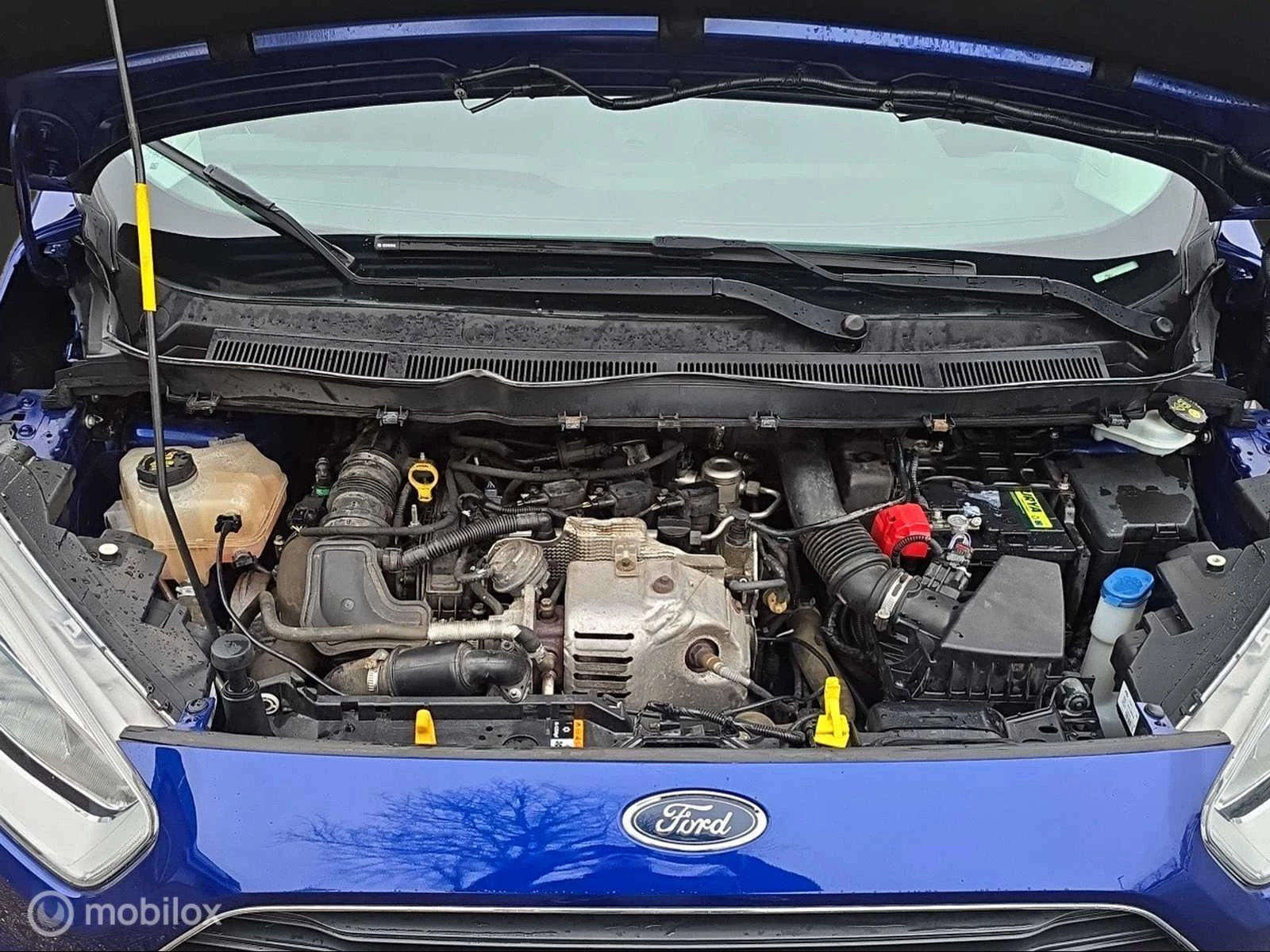 Hoofdafbeelding Ford Tourneo Courier