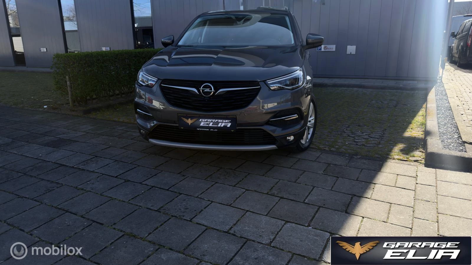 Hoofdafbeelding Opel Grandland X