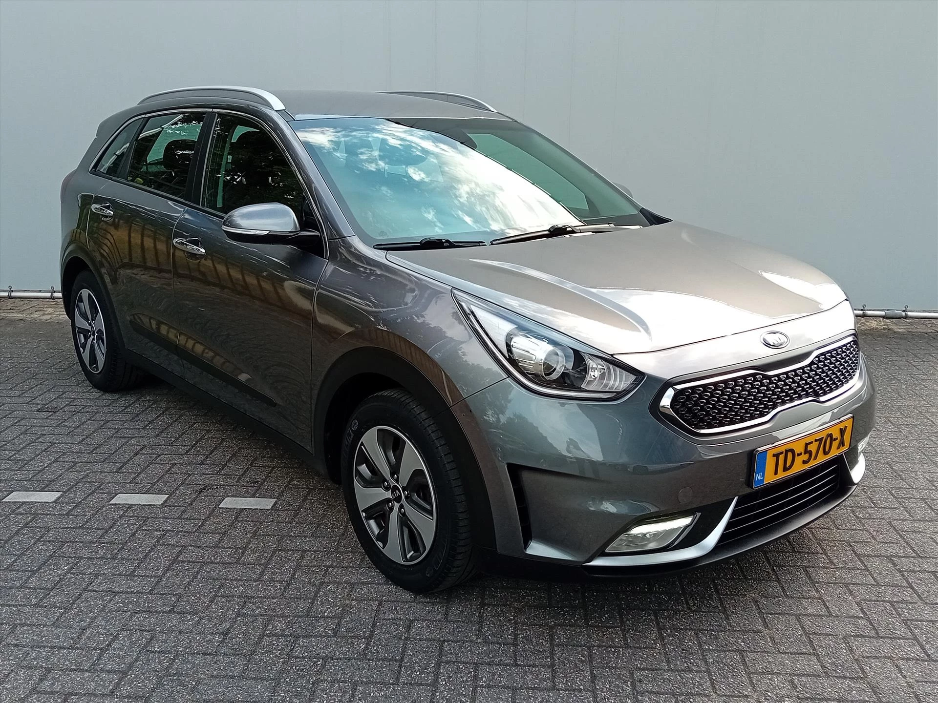 Hoofdafbeelding Kia Niro