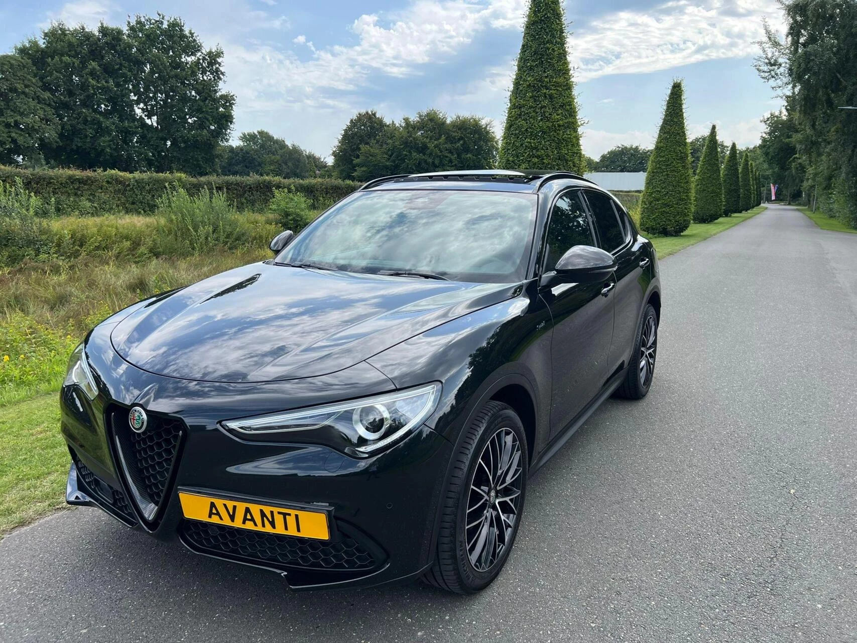 Hoofdafbeelding Alfa Romeo Stelvio