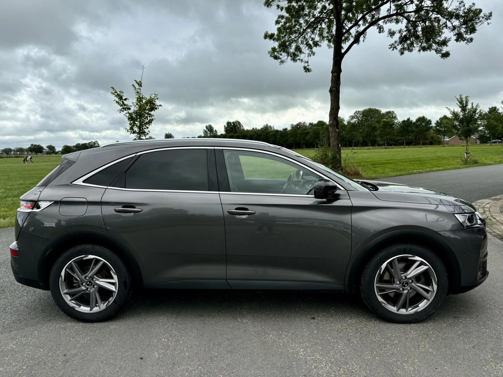 Hoofdafbeelding DS DS 7