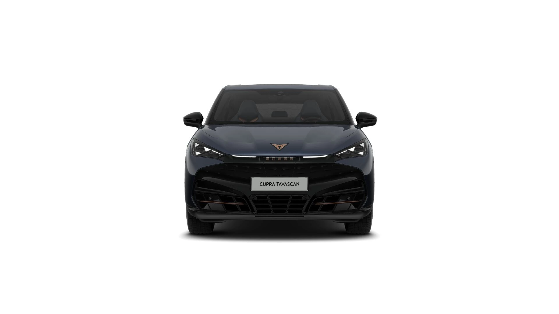 Hoofdafbeelding CUPRA Tavascan