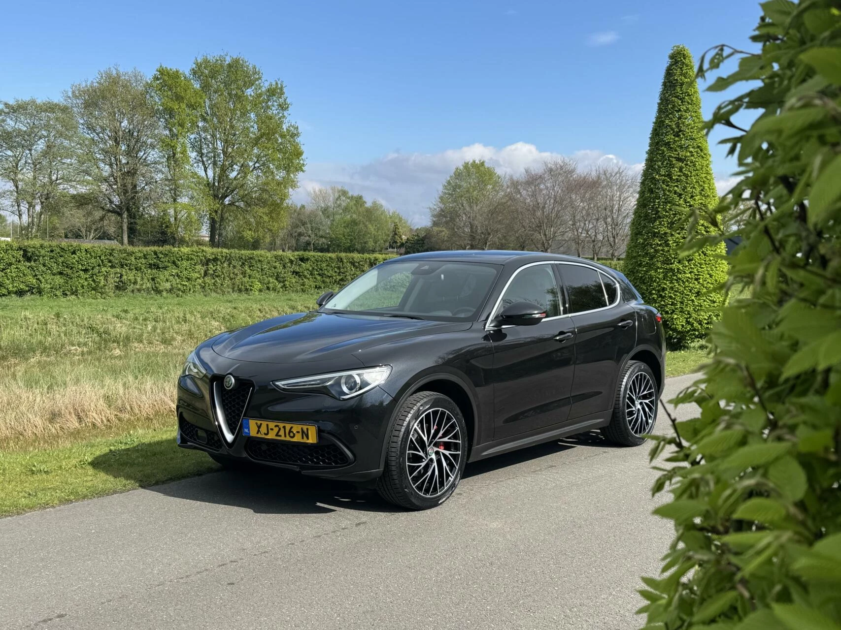 Hoofdafbeelding Alfa Romeo Stelvio
