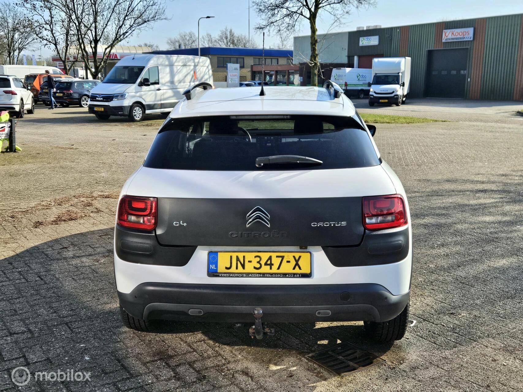 Hoofdafbeelding Citroën C4 Cactus