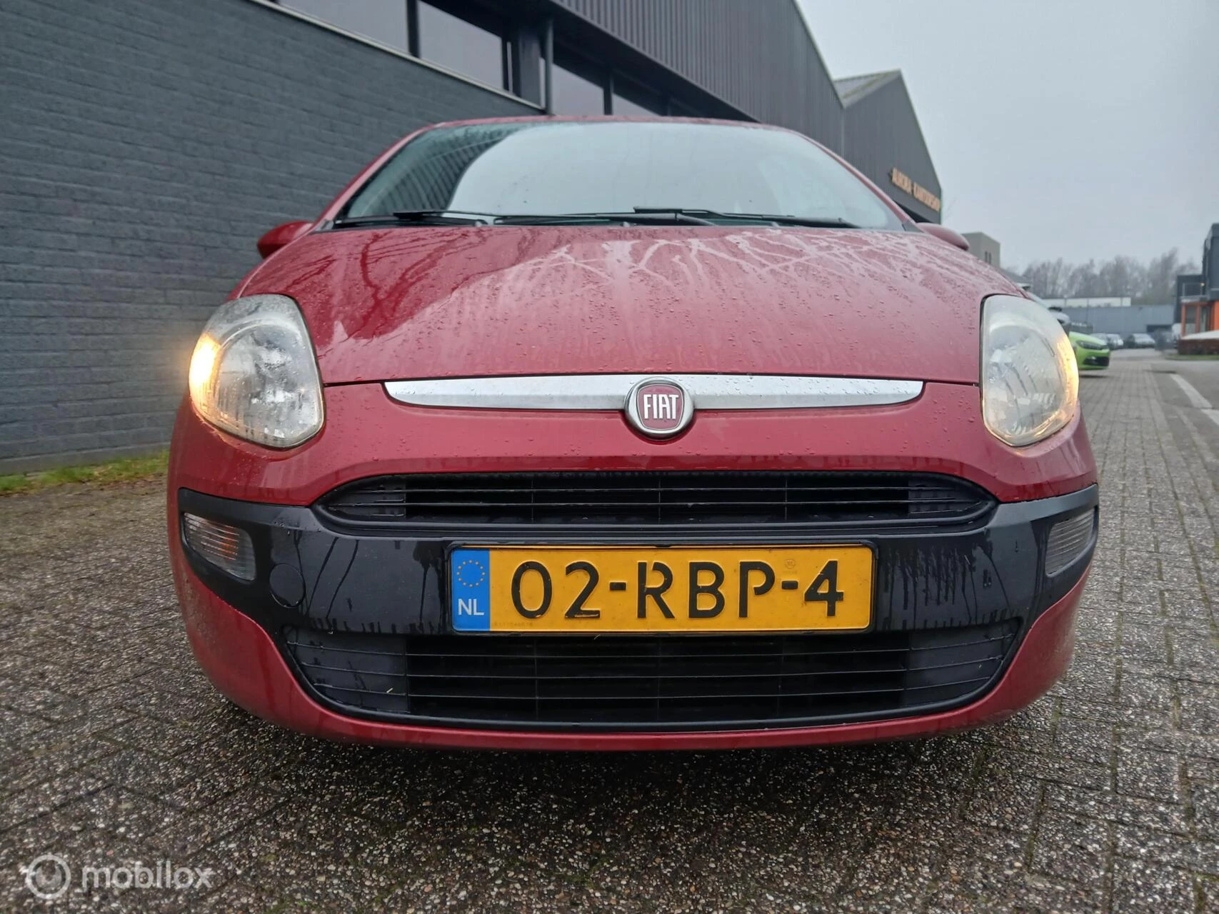 Hoofdafbeelding Fiat Punto