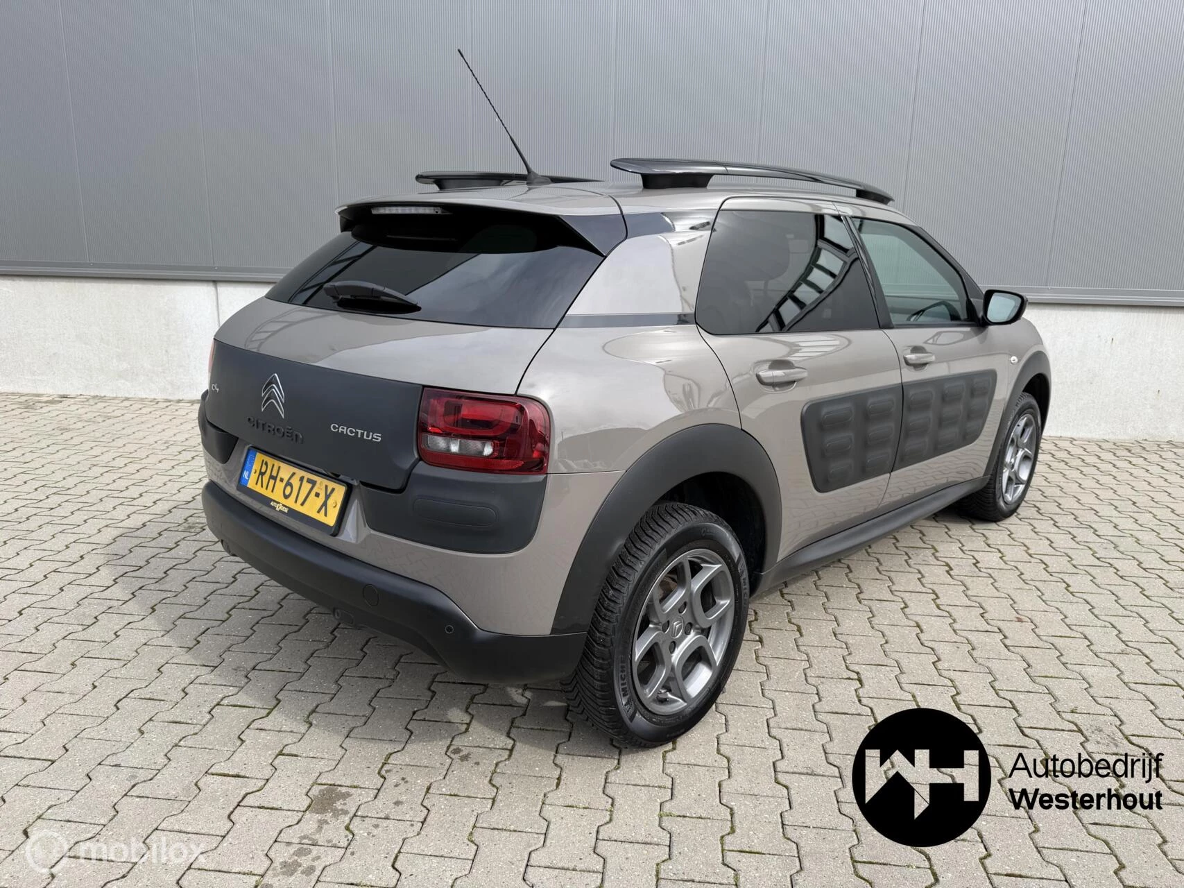 Hoofdafbeelding Citroën C4 Cactus