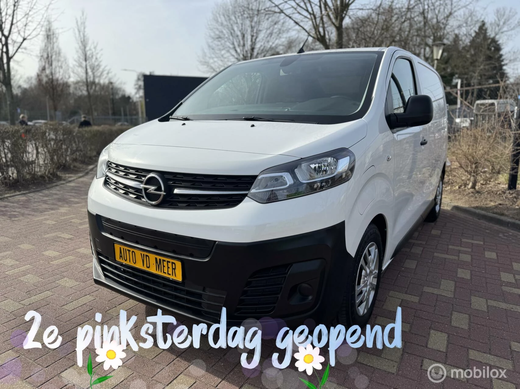 Hoofdafbeelding Opel Vivaro-e