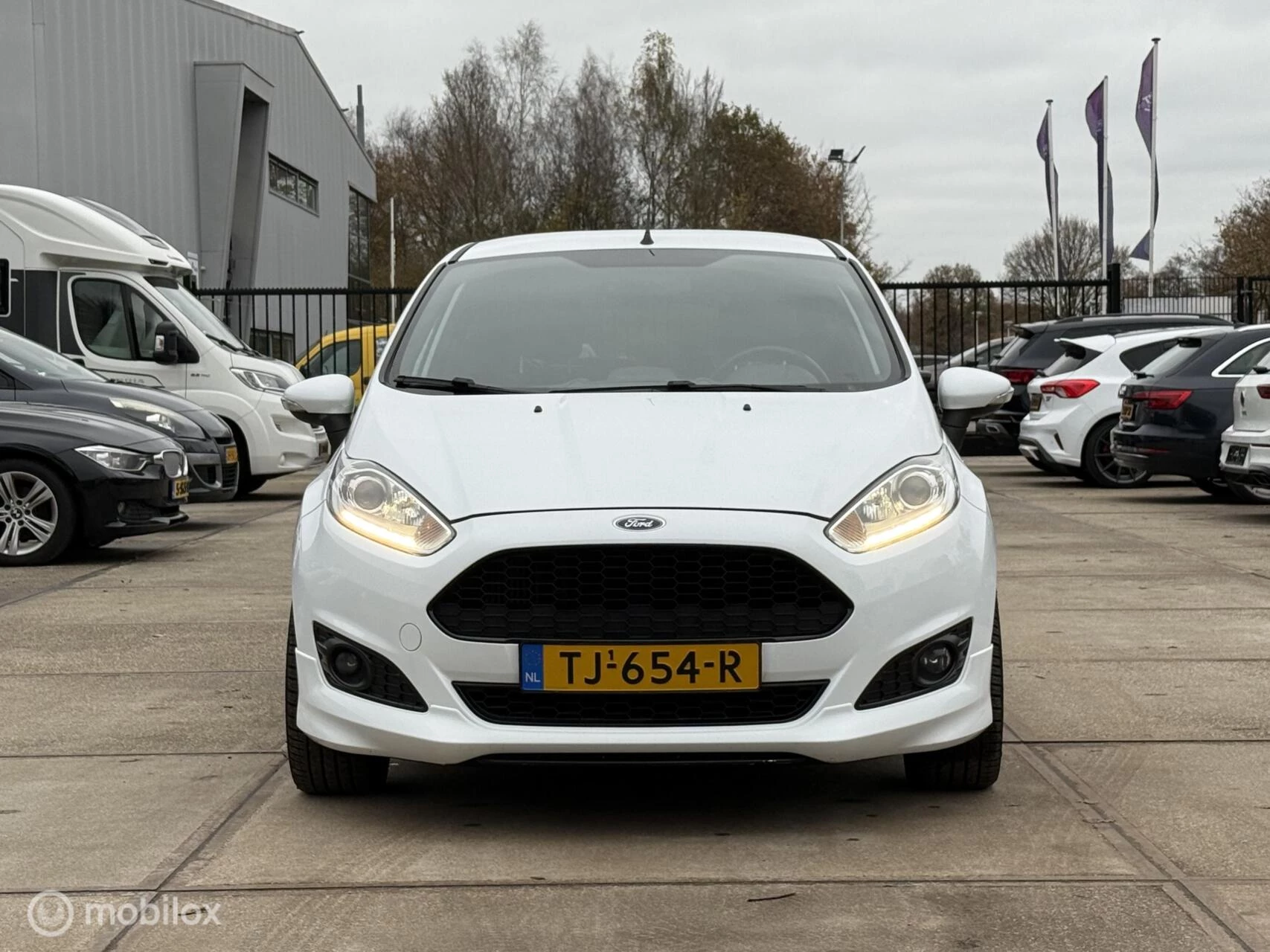 Hoofdafbeelding Ford Fiesta