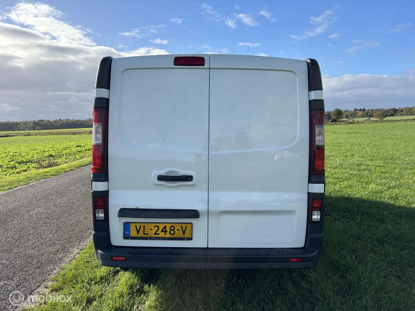 Hoofdafbeelding Renault Trafic