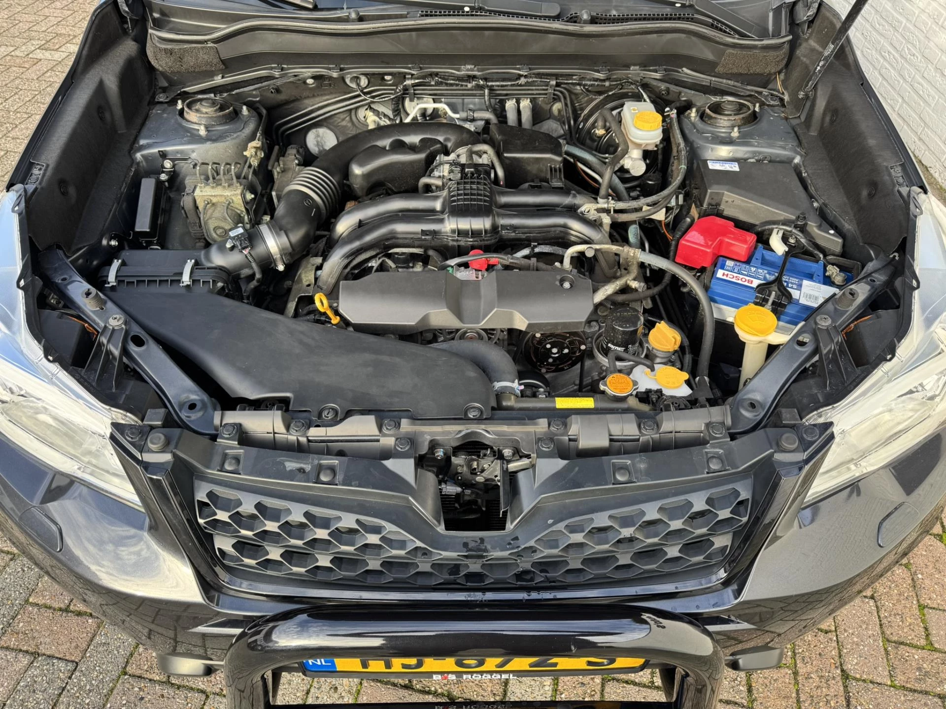 Hoofdafbeelding Subaru Forester