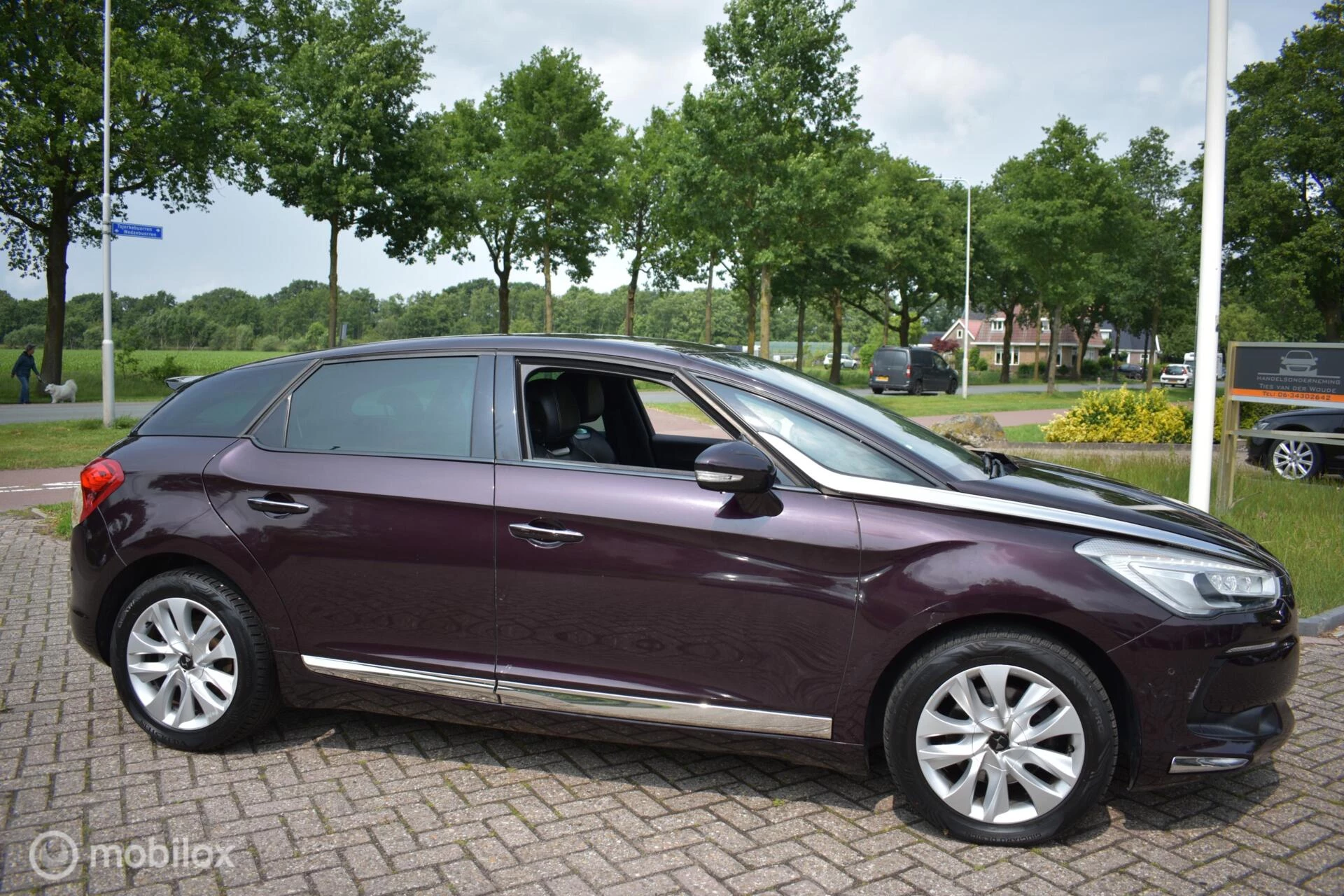 Hoofdafbeelding DS DS 5