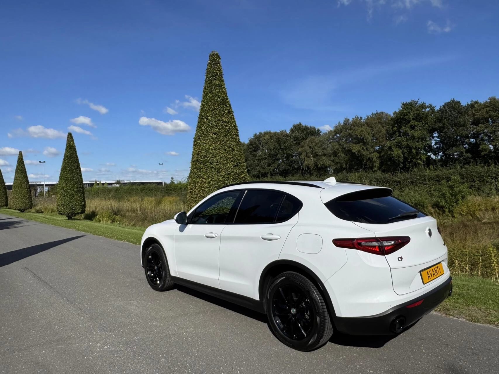 Hoofdafbeelding Alfa Romeo Stelvio