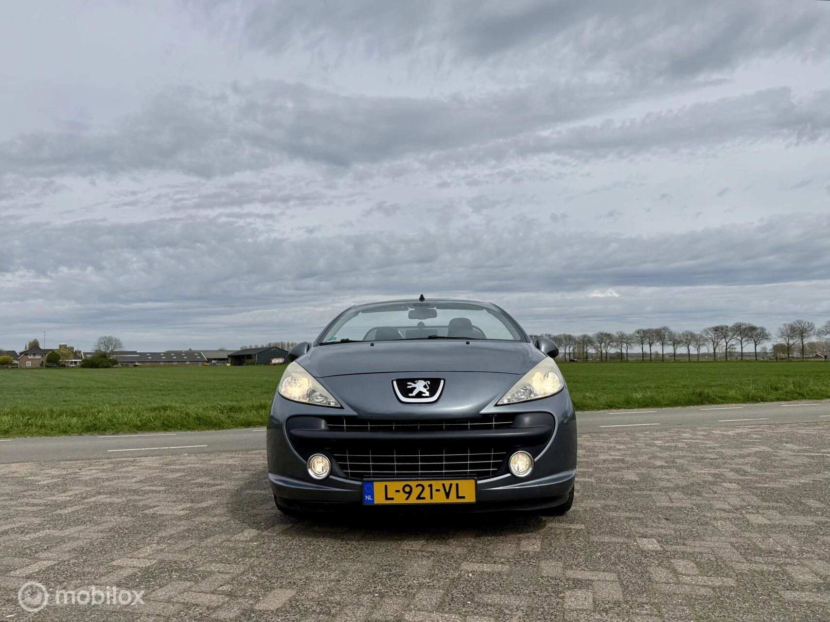 Hoofdafbeelding Peugeot 207